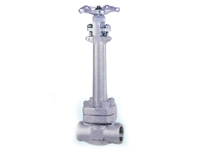 段鋼內螺紋承插焊旋啟式止回閥-