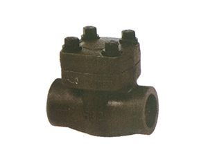 段鋼內螺紋承插焊旋啟式止回閥